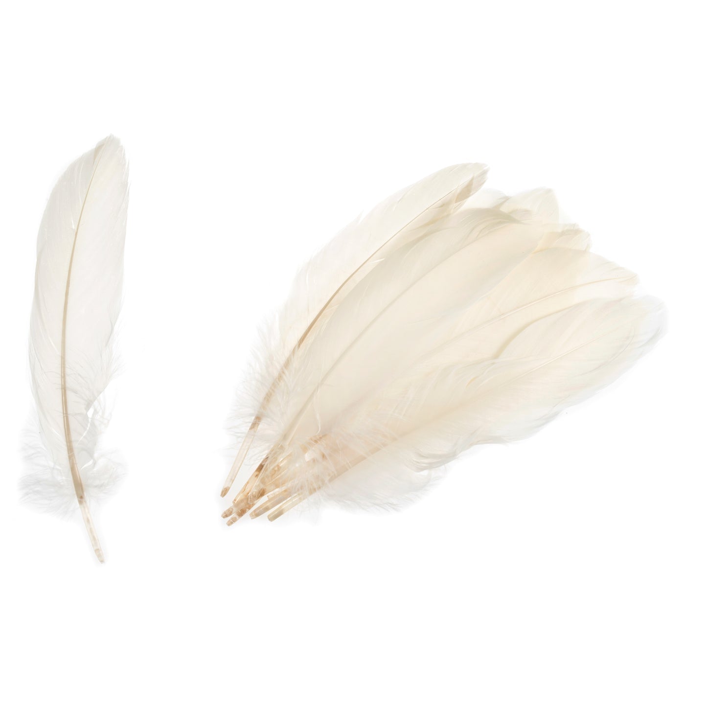 Trimits Goose Feathers - 12 pack (3 Colours Available)