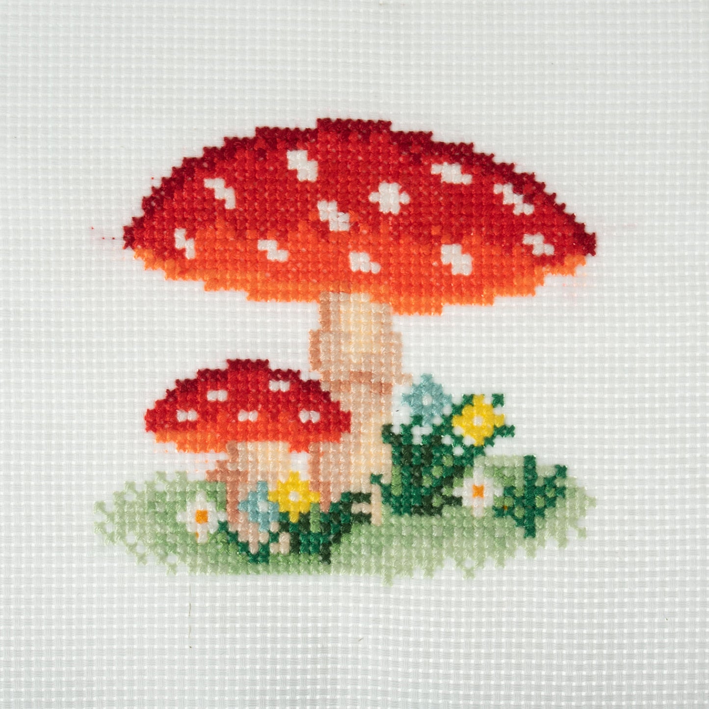 Counted Cross Stitch Kit: Mini: Toadstool