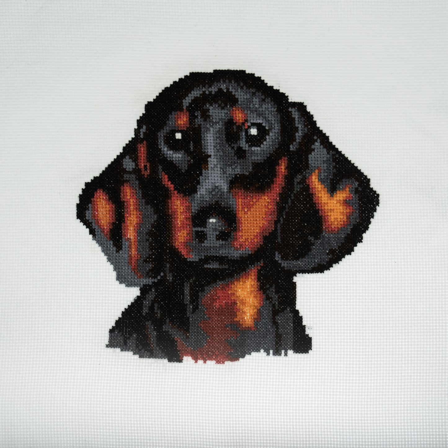 Counted Cross Stitch Kit: Mini: Dachshund